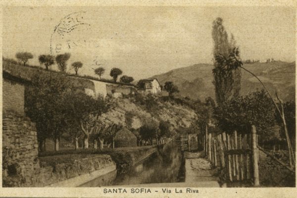 Archivio Famiglia Giannelli S. Sofia