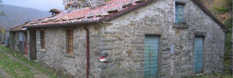 Castagnoli