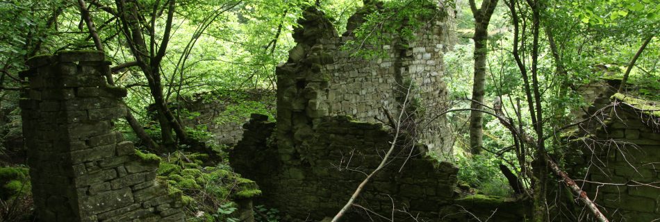 Calcinaio