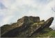 Castello di Ridracoli, 2001, F. Bardi