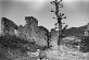 Castello di Ridracoli, anni 50, Archivio O. Leoni