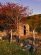 Cimitero San Paolo, 2006, M. Perini