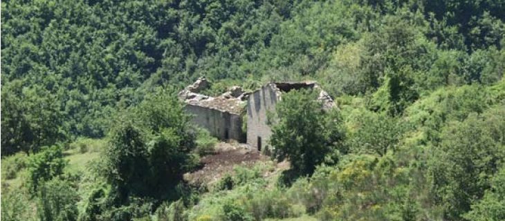 Valle