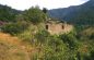 Tassinara, 2006, psc Bagno di Romagna