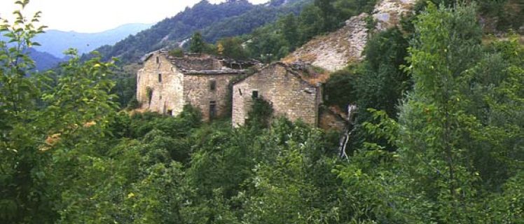 Tassinara