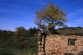 San Paolo in Alpe, 1998, G. Giacomini