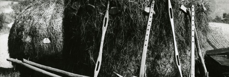 Poggio alla Lastra - Archivio Fotografico Paolo Monti